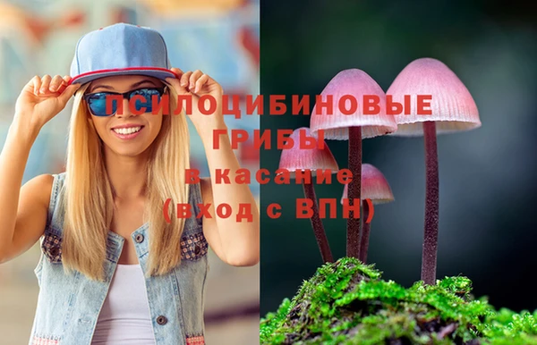 PSILOCYBIN Алексин