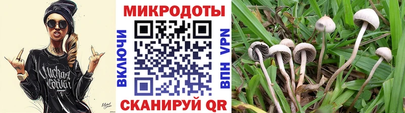 Галлюциногенные грибы Psilocybe  что такое наркотик  Отрадная 